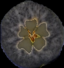 ../../../_images/starch_example.starch_1.png